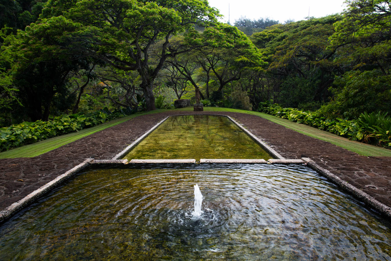 A long reflecting pool with a single jet, trees arching over the walk, Allerton Garden, Kauai