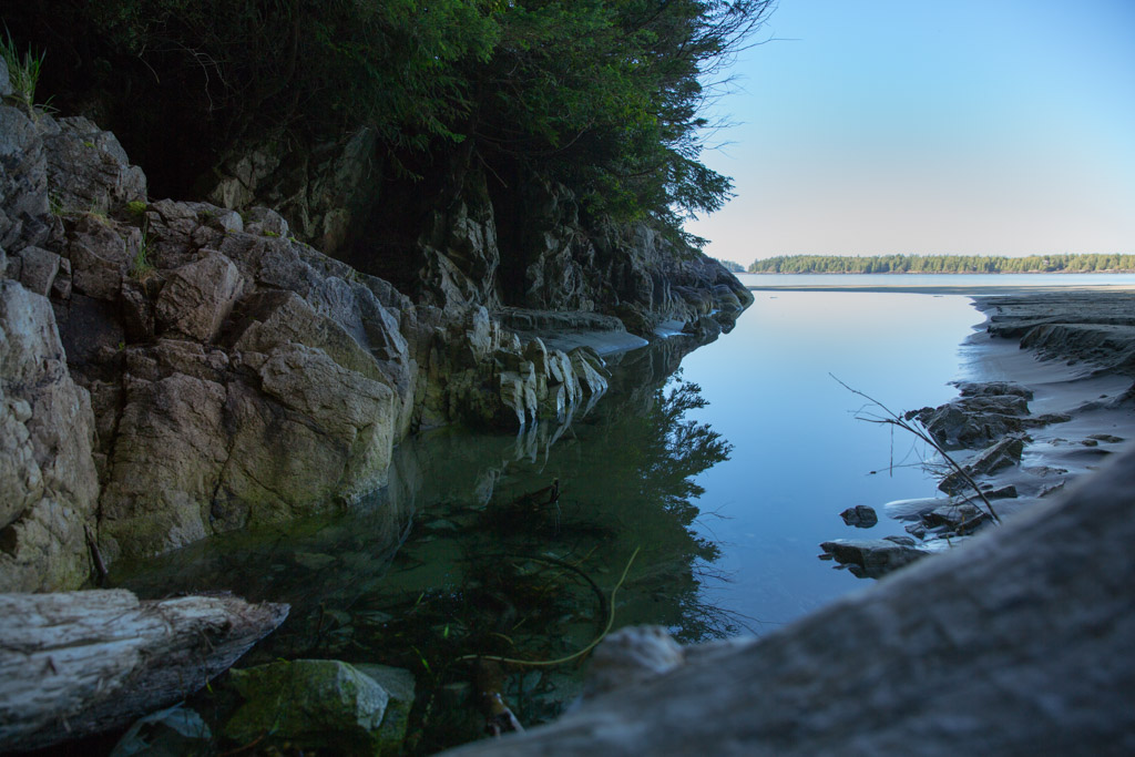 A rock-walled cove at slack water, forest coming down to the tideline, Tofino