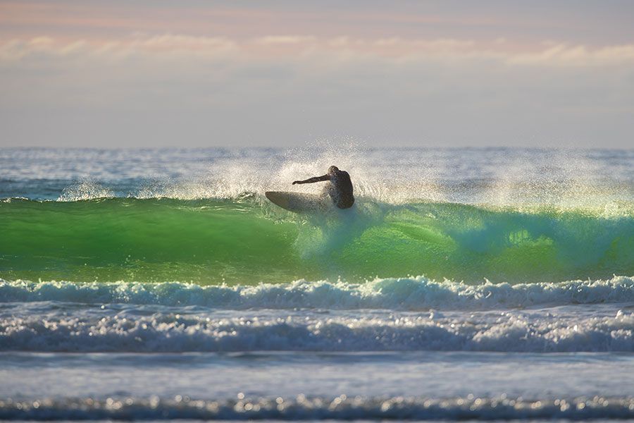 Tofino